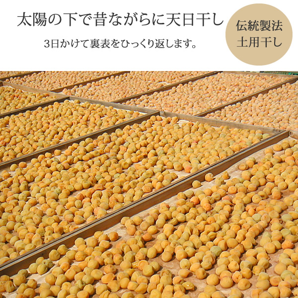 �²λ������Σ���󥯴��������